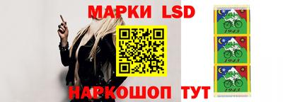 тгк Ленинск-Кузнецкий