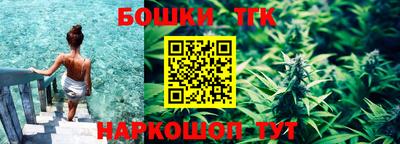 тгк Ленинск-Кузнецкий