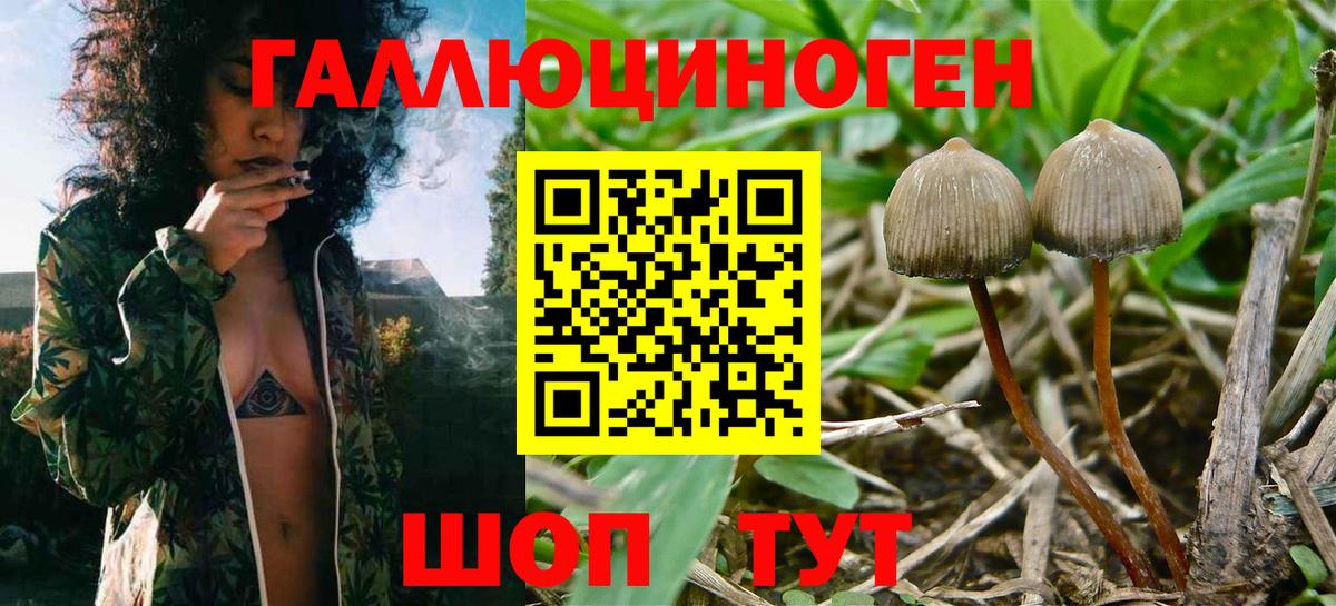 Псилоцибиновые грибы Magic Shrooms  Вход с VPN  Баксан 