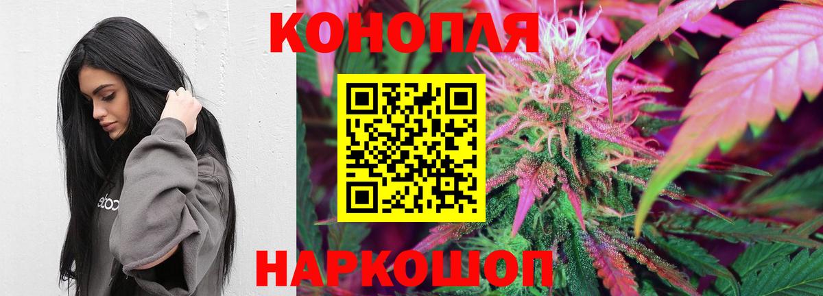Баксан  МАРИХУАНА планчик  Марихуана гибрид  Конопля AK-47  Вход с VPN 